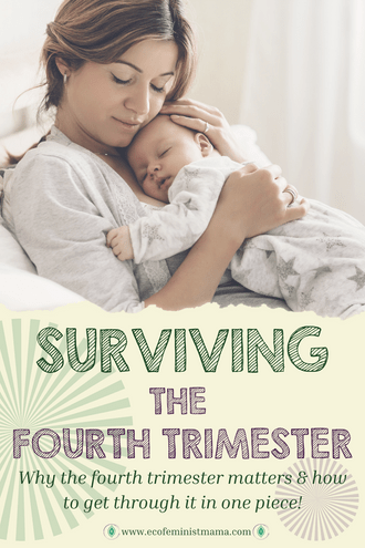 pinterest pin surviving the fourth 4th trimester