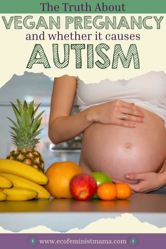 pinterest pin does vegan pregnancy cause autism