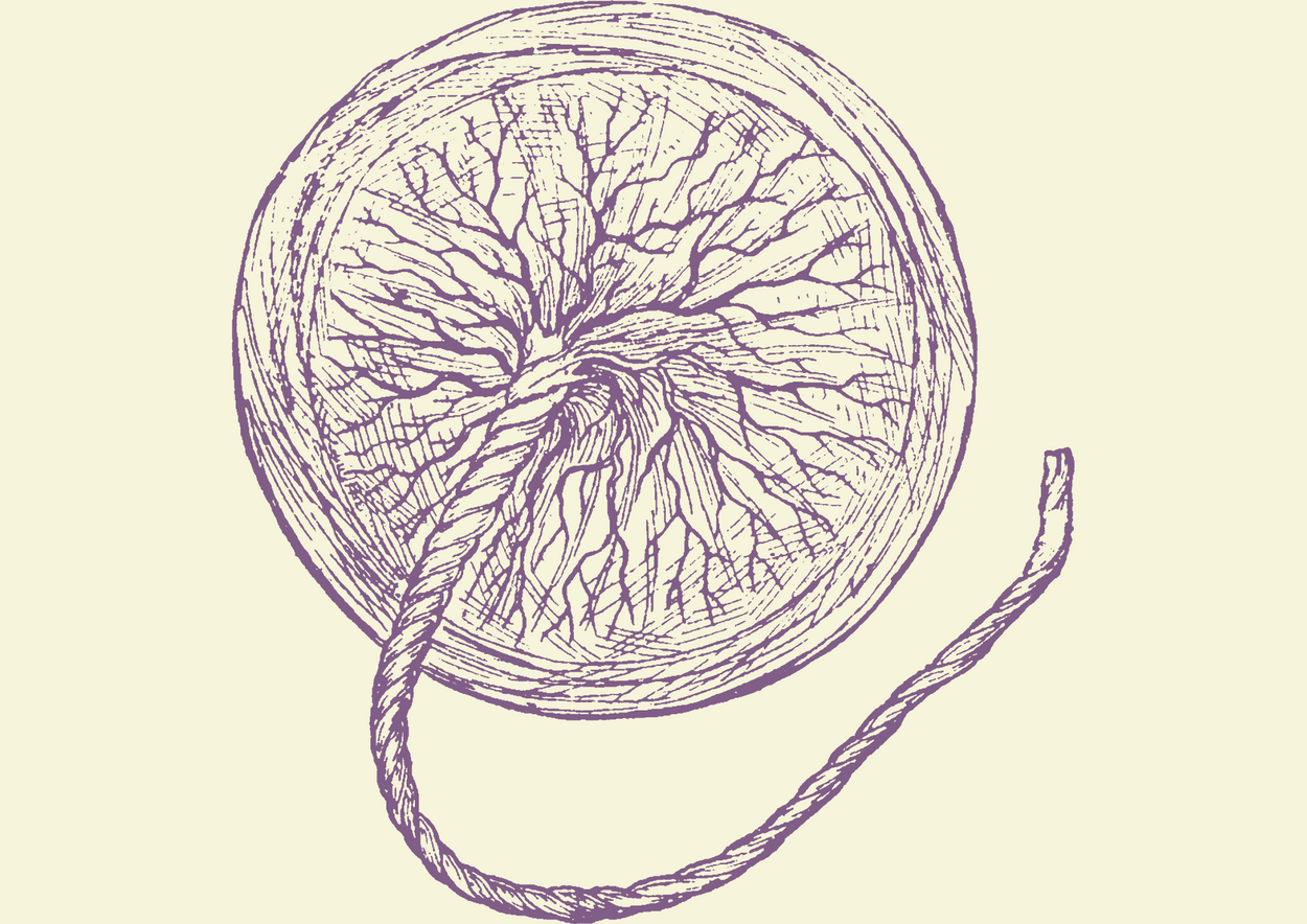 Placenta Eating Should you really eat the placenta after birth