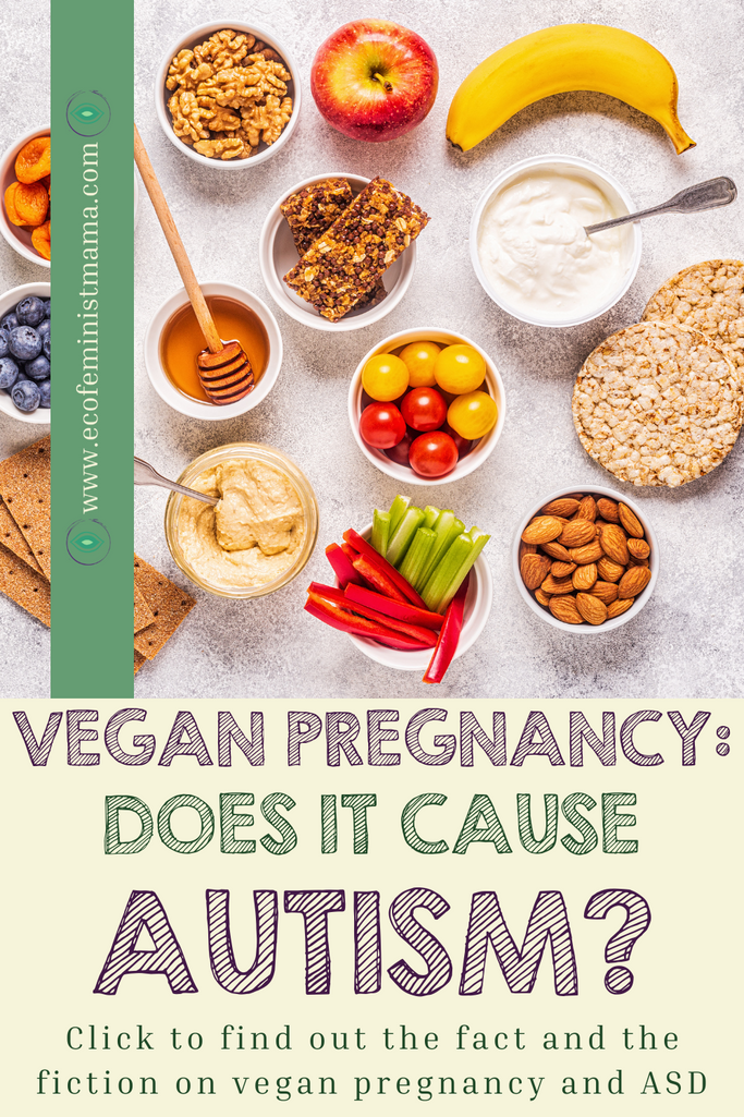 pinterest pin does vegan pregnancy cause autism