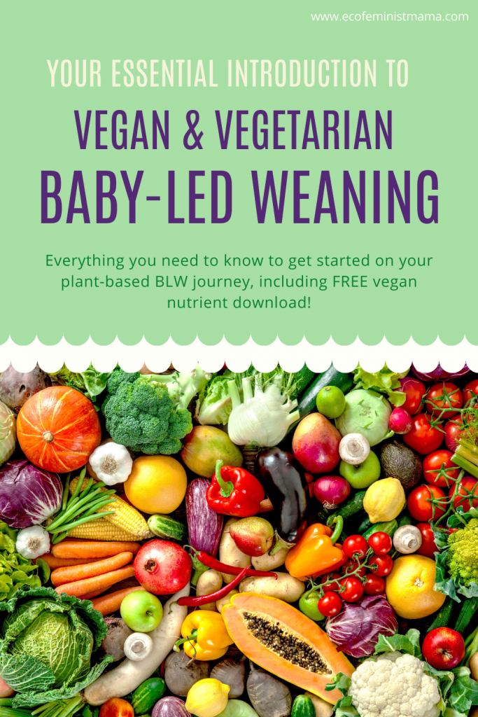 vegan and vegetarian baby led weaning