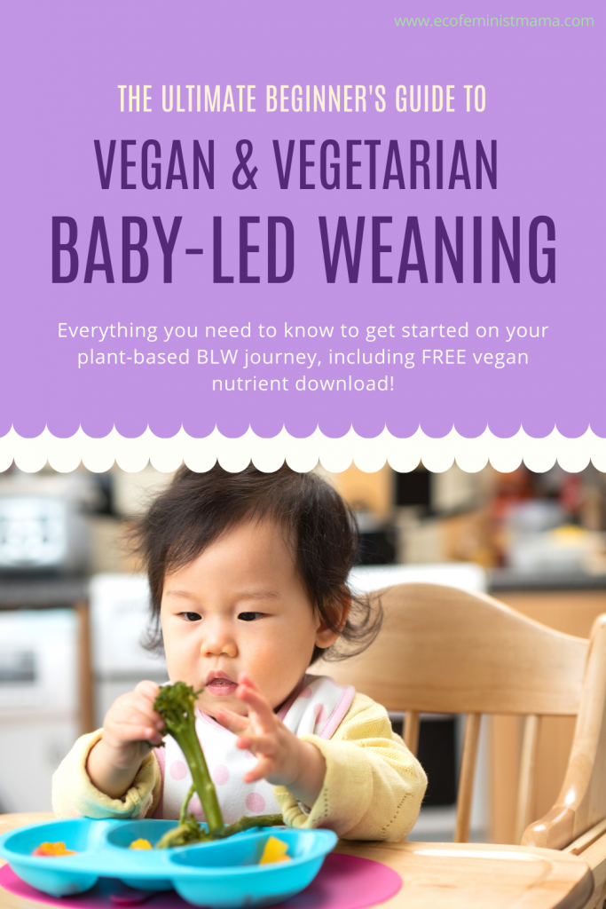 vegan and vegetarian baby led weaning